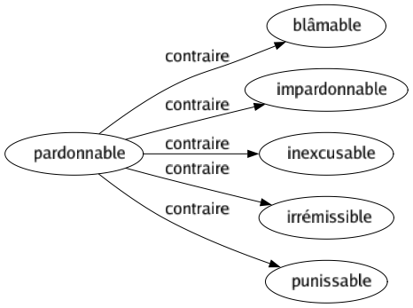 Contraire de Pardonnable : Blâmable Impardonnable Inexcusable Irrémissible Punissable 