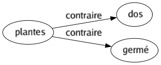 Contraire de Plantes : Dos Germé 