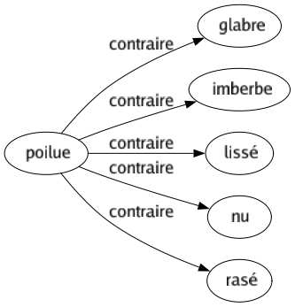 Contraire de Poilue : Glabre Imberbe Lissé Nu Rasé 