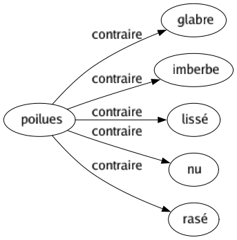 Contraire de Poilues : Glabre Imberbe Lissé Nu Rasé 