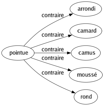 Contraire de Pointue : Arrondi Camard Camus Moussé Rond 