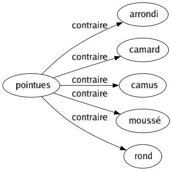 Contraire de Pointues : Arrondi Camard Camus Moussé Rond 