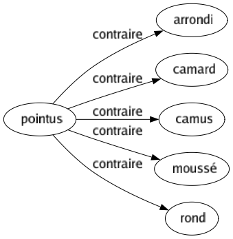 Contraire de Pointus : Arrondi Camard Camus Moussé Rond 