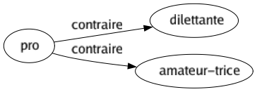 Contraire de Pro : Dilettante Amateur-trice 