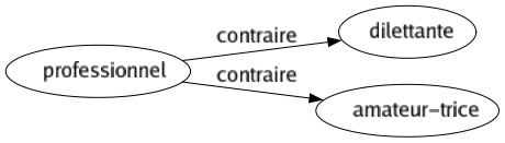 Contraire de Professionnel : Dilettante Amateur-trice 