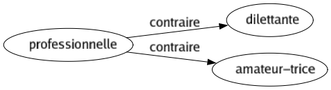 Contraire de Professionnelle : Dilettante Amateur-trice 