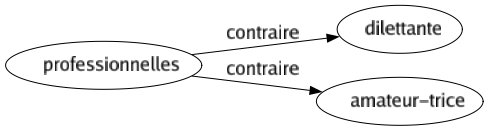 Contraire de Professionnelles : Dilettante Amateur-trice 