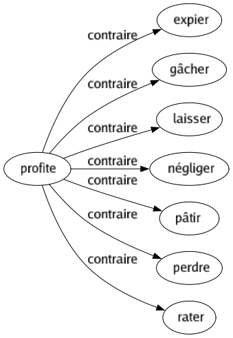 Contraire de Profite : Expier Gâcher Laisser Négliger Pâtir Perdre Rater 