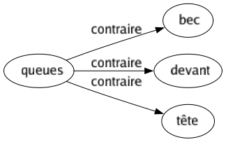 Contraire de Queues : Bec Devant Tête 