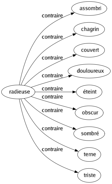 Contraire de Radieuse : Assombri Chagrin Couvert Douloureux Éteint Obscur Sombré Terne Triste 