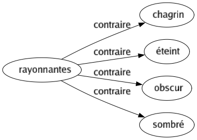 Contraire de Rayonnantes : Chagrin Éteint Obscur Sombré 