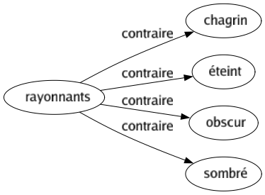 Contraire de Rayonnants : Chagrin Éteint Obscur Sombré 