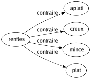 Contraire de Renfles : Aplati Creux Mince Plat 