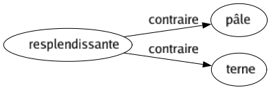 Contraire de Resplendissante : Pâle Terne 