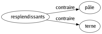 Contraire de Resplendissants : Pâle Terne 