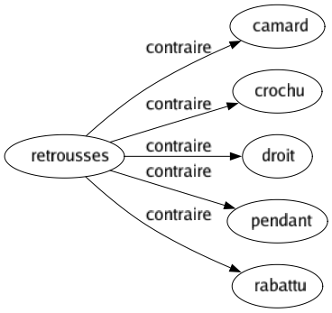 Contraire de Retrousses : Camard Crochu Droit Pendant Rabattu 