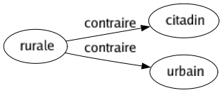 Contraire de Rurale : Citadin Urbain 