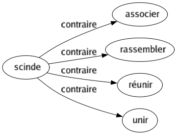 Contraire de Scinde : Associer Rassembler Réunir Unir 