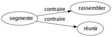 Contraire de Segmente : Rassembler Réunir 