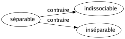 Contraire de Séparable : Indissociable Inséparable 