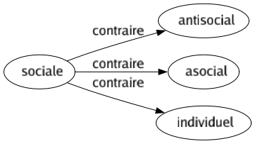 Contraire de Sociale : Antisocial Asocial Individuel 