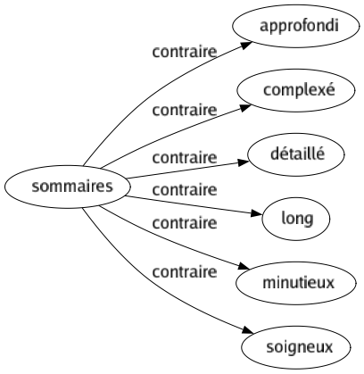 Contraire de Sommaires : Approfondi Complexé Détaillé Long Minutieux Soigneux 