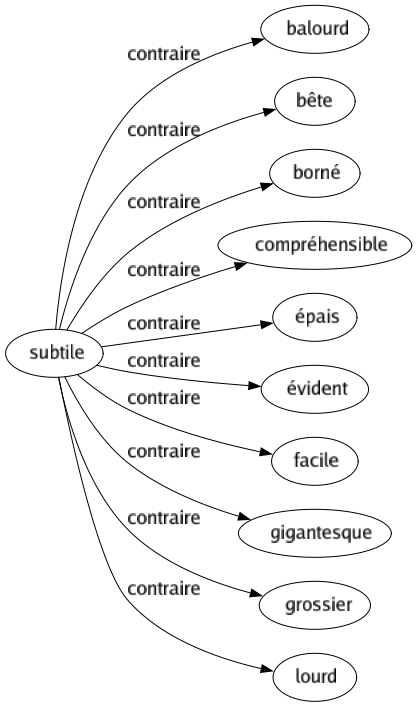 Contraire de Subtile : Balourd Bête Borné Compréhensible Épais Évident Facile Gigantesque Grossier Lourd 