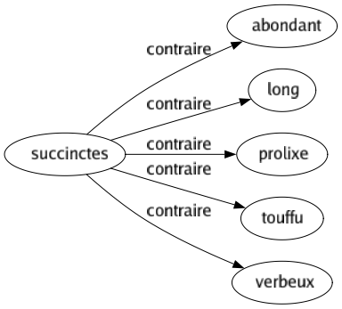 Contraire de Succinctes : Abondant Long Prolixe Touffu Verbeux 