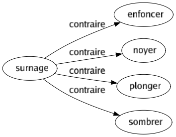 Contraire de Surnage : Enfoncer Noyer Plonger Sombrer 