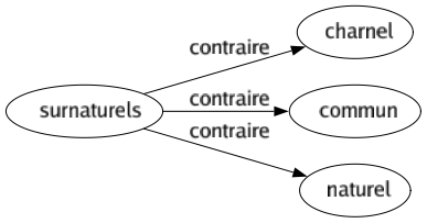 Contraire de Surnaturels : Charnel Commun Naturel 