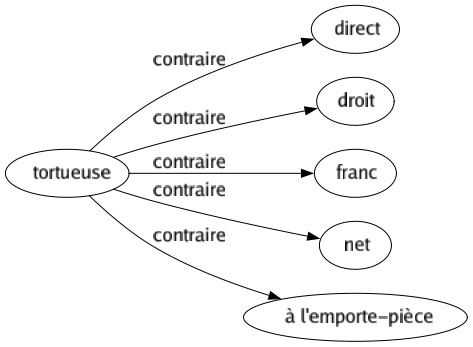 Contraire de Tortueuse : Direct Droit Franc Net À l'emporte-pièce 