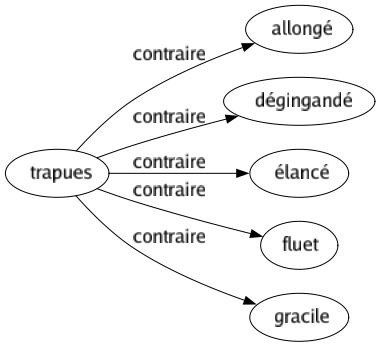 Contraire de Trapues : Allongé Dégingandé Élancé Fluet Gracile 