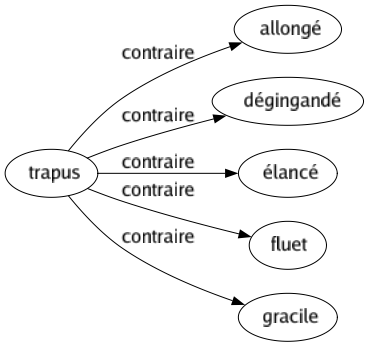 Contraire de Trapus : Allongé Dégingandé Élancé Fluet Gracile 