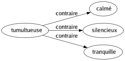 Contraire de Tumultueuse : Calmé Silencieux Tranquille 