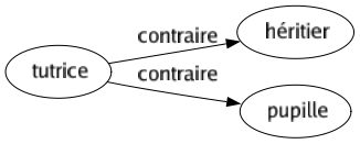 Contraire de Tutrice : Héritier Pupille 