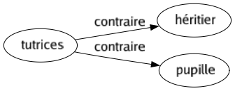 Contraire de Tutrices : Héritier Pupille 