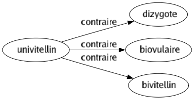 Contraire de Univitellin : Dizygote Biovulaire Bivitellin 