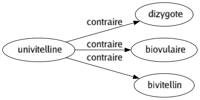 Contraire de Univitelline : Dizygote Biovulaire Bivitellin 