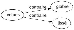 Contraire de Velues : Glabre Lissé 