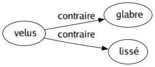 Contraire de Velus : Glabre Lissé 