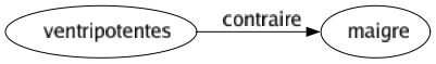 Contraire de Ventripotentes : Maigre 