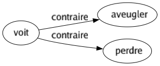 Contraire de Voit : Aveugler Perdre 