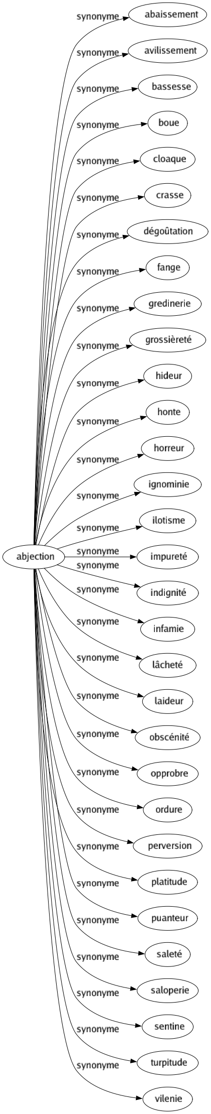 Synonyme de Abjection : Abaissement Avilissement Bassesse Boue Cloaque Crasse Dégoûtation Fange Gredinerie Grossièreté Hideur Honte Horreur Ignominie Ilotisme Impureté Indignité Infamie Lâcheté Laideur Obscénité Opprobre Ordure Perversion Platitude Puanteur Saleté Saloperie Sentine Turpitude Vilenie 