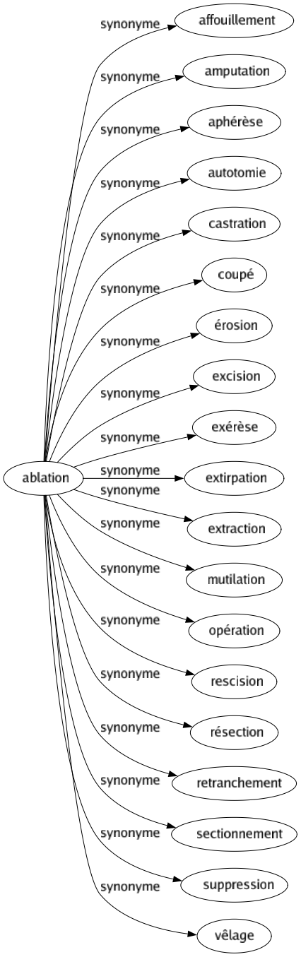 Synonyme de Ablation : Affouillement Amputation Aphérèse Autotomie Castration Coupé Érosion Excision Exérèse Extirpation Extraction Mutilation Opération Rescision Résection Retranchement Sectionnement Suppression Vêlage 