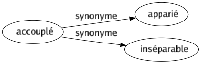 Synonyme de Accouplé : Apparié Inséparable 