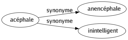 Synonyme de Acéphale : Anencéphale Inintelligent 