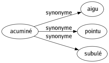 Synonyme de Acuminé : Aigu Pointu Subulé 
