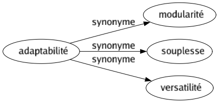 Synonyme de Adaptabilité : Modularité Souplesse Versatilité 