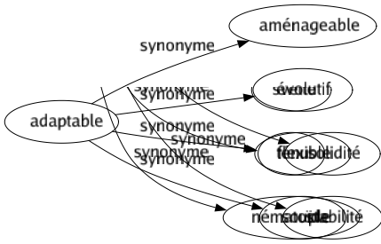 Synonyme de Adaptable : Aménageable Évolutif Flexible Souple 