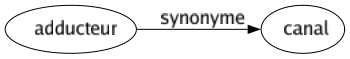 Synonyme de Adducteur : Canal 